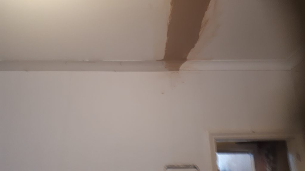 CL Joinery | Ceiling Remedial Work