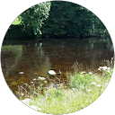 Terence Patchett profile picture